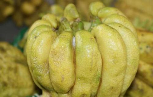 ����ֺʹ�������ʲô���� ���ֵĹ�Ч������