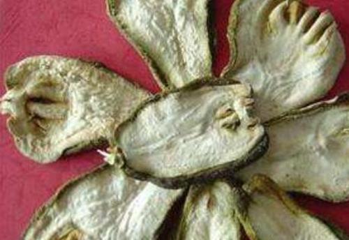 ����ֺʹ�������ʲô���� ���ֵĹ�Ч������