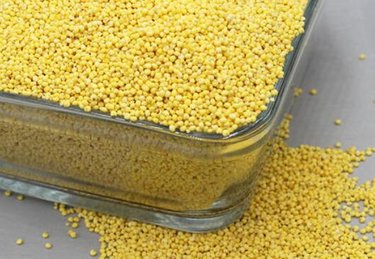 黍子米的功效�c作用及食用方法