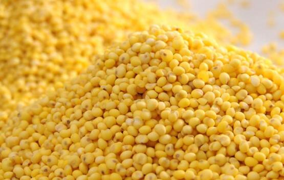 黍子米的功效与作用及食用方法