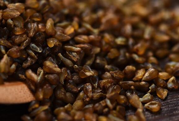 黑苦荞功效与作用 黑苦荞米的作用及食用方法